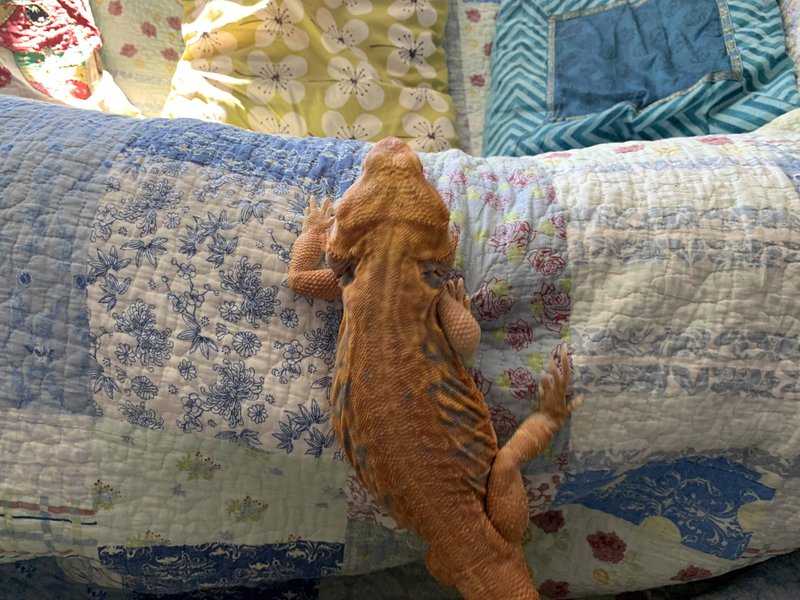 02_Start to Right 2.JPG