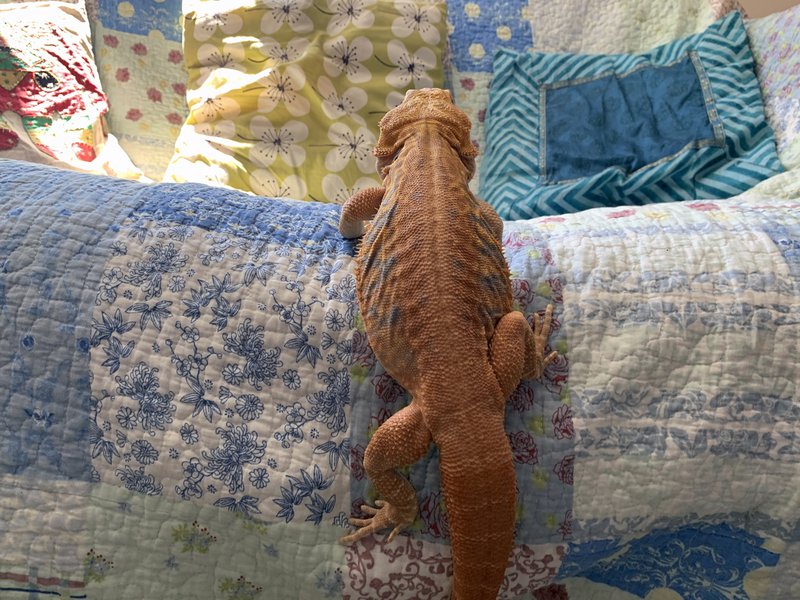 02_Start to Right 3.JPG