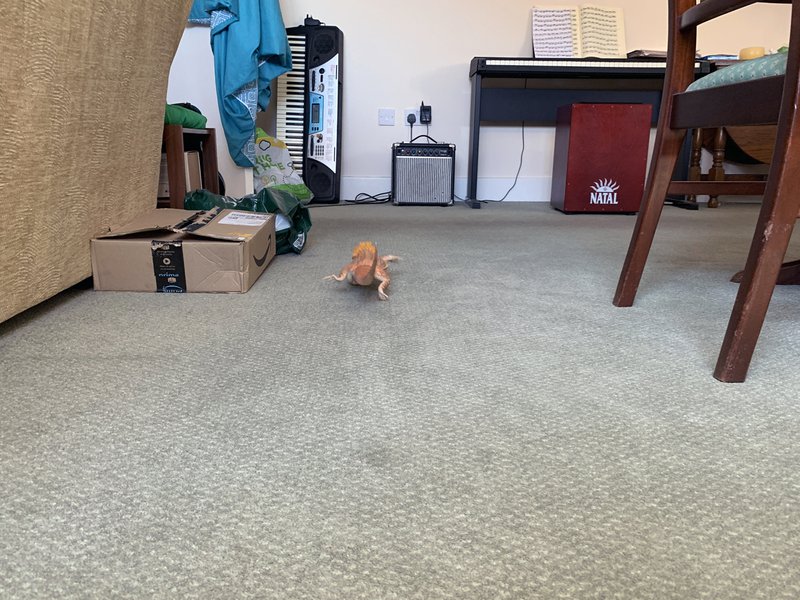 04_Between corridor and piano 1.jpg