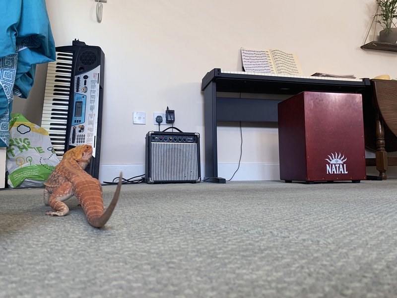 04_Between corridor and piano 2.JPG