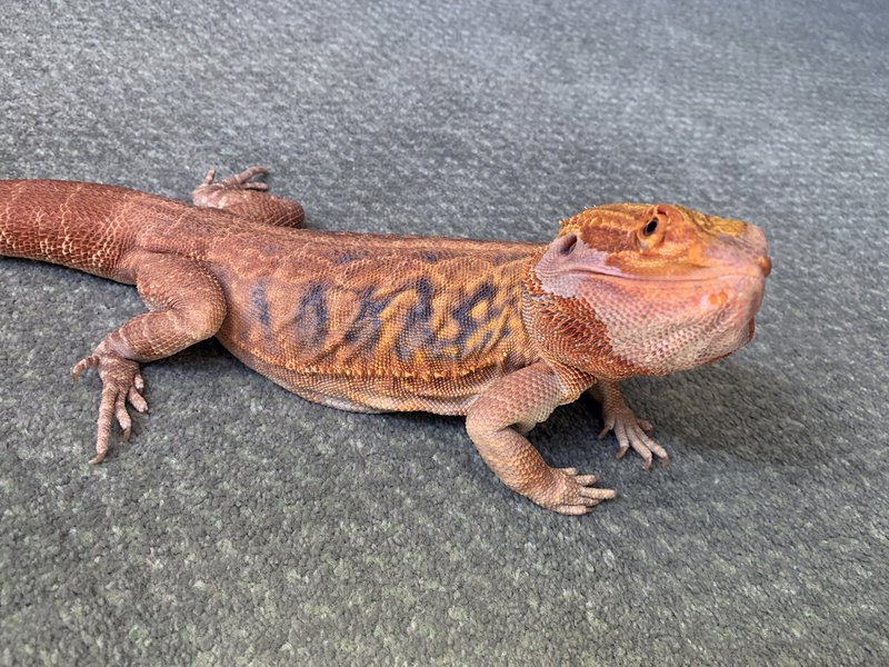 05_Piano + Cajon 1.JPG