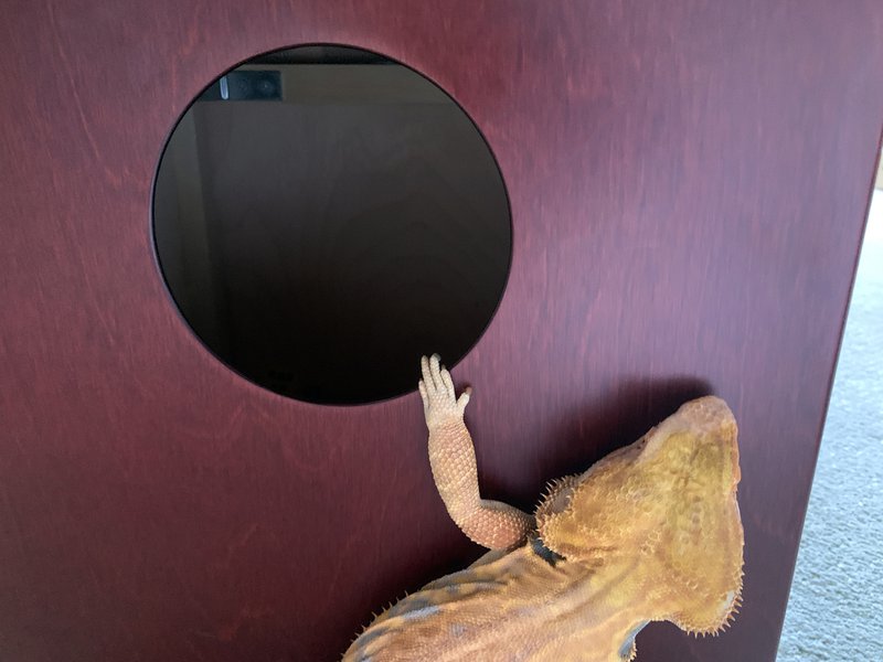 06_Outisde cajon.JPG