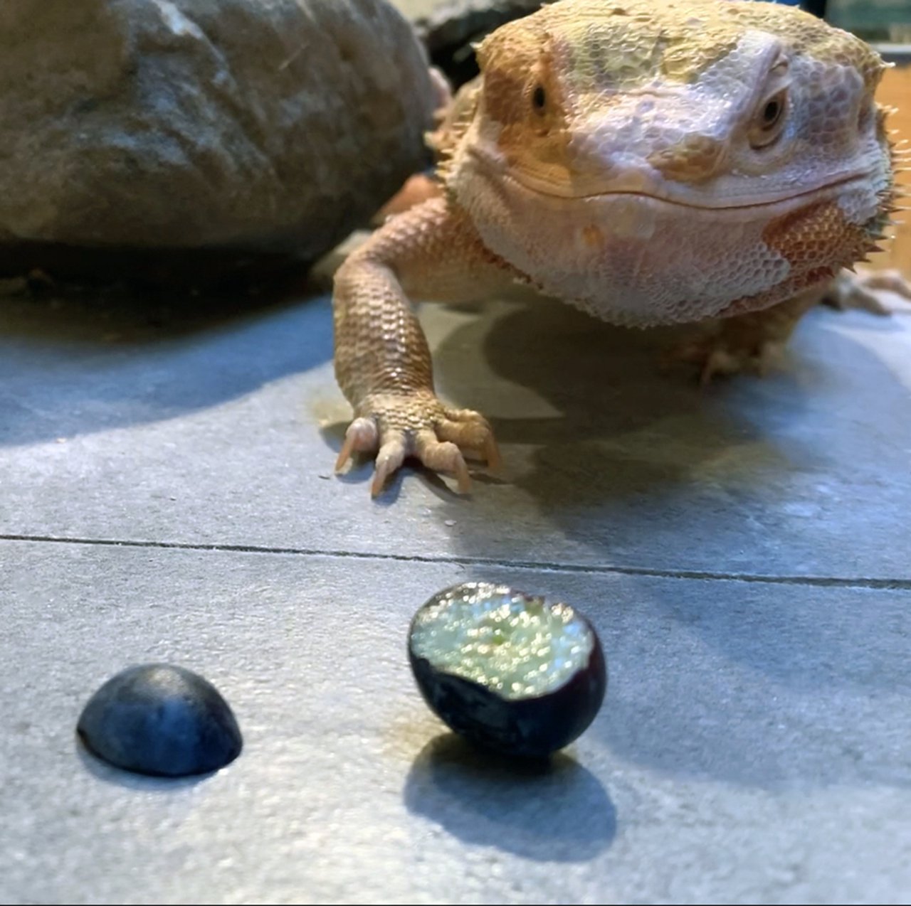 30_Ending (Fruit).jpg