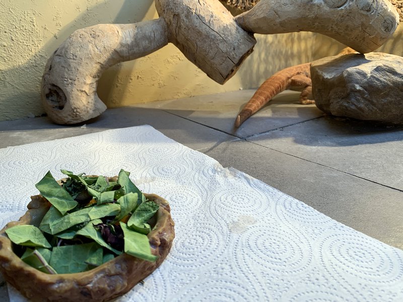 39_Ending (Salad) 2.JPG